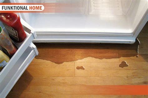 leaking fridge|How to fix a fridge that’s leaking water